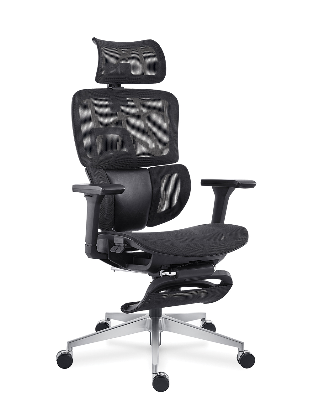 ERGOTOP